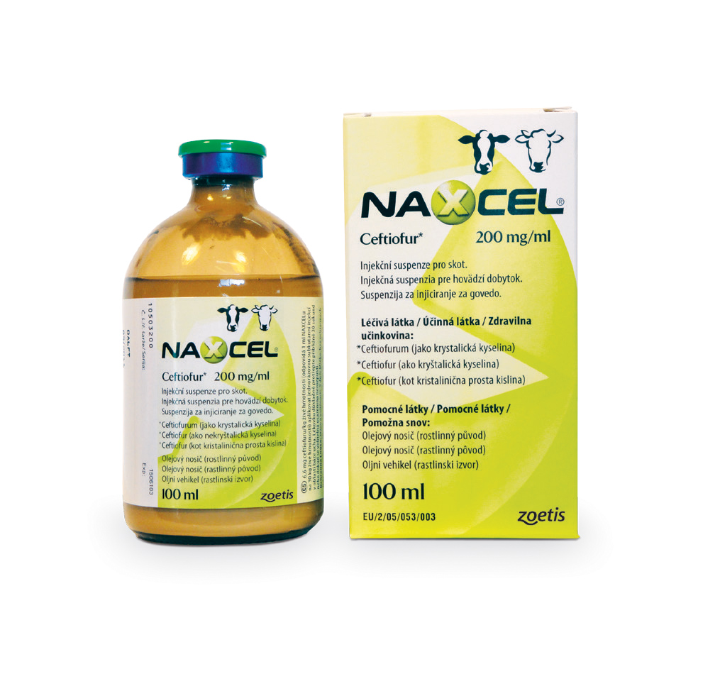 NAXCEL CATTLE Product