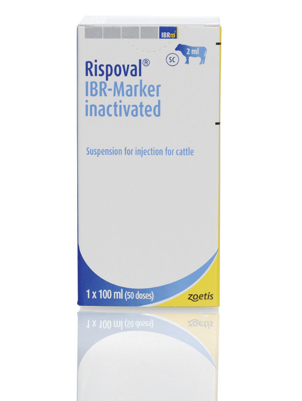 RISPOVAL IBR - Marker inactivatum Product